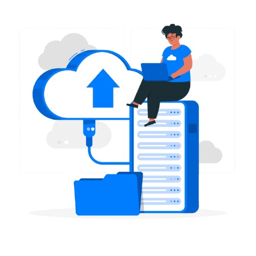 multimedia support